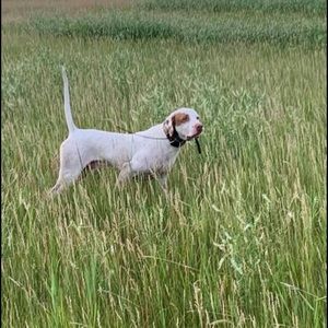 Meet your Posher, Kevin